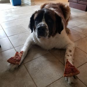 Meet your Posher, Tony